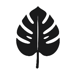 plantes rares maison  